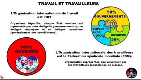 Organisation internationale du travail . OIT